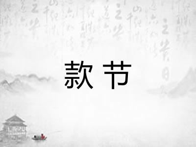 款节