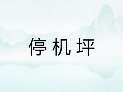 停机坪