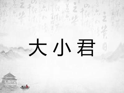 大小君