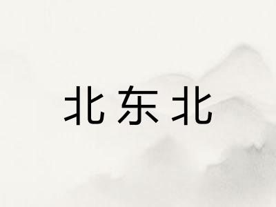 北东北