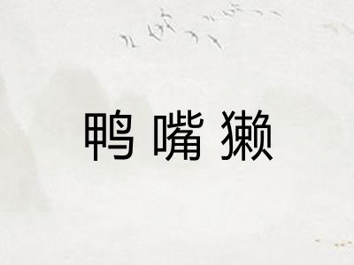 鸭嘴獭