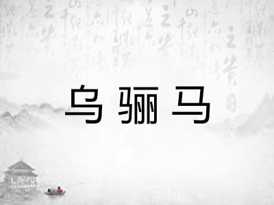 乌骊马