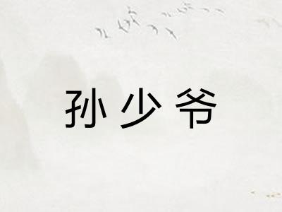 孙少爷