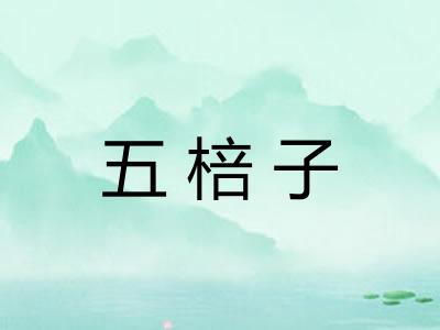 五棓子
