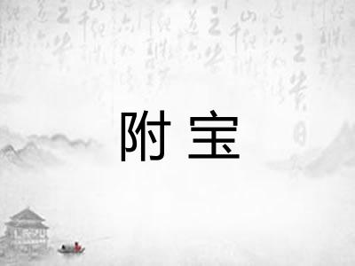 附宝