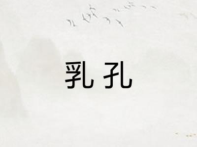 乳孔