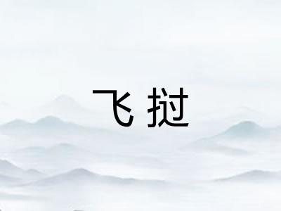 飞挝