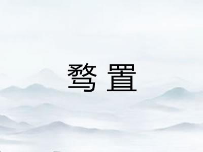 骛置