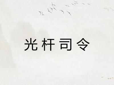 光杆司令