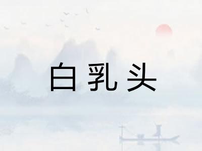 白乳头