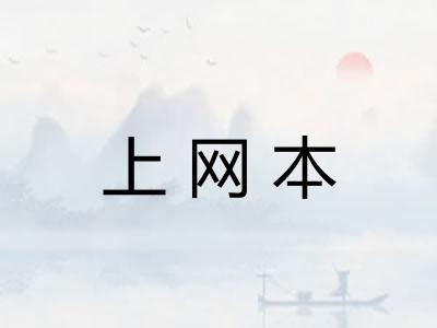 上网本