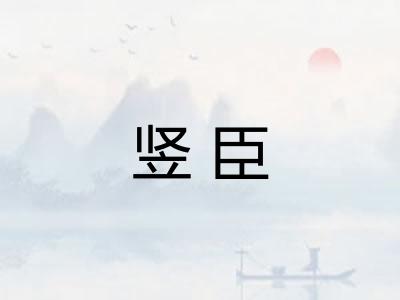 竖臣