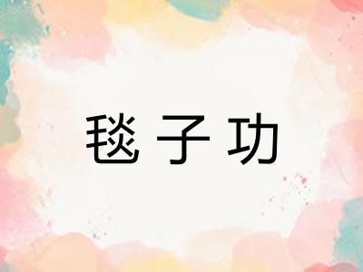 毯子功