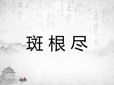 斑根尽
