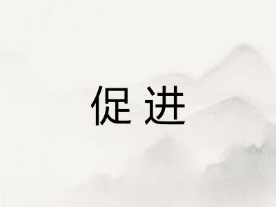 促进