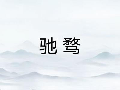 驰骛