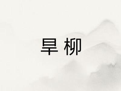 旱柳