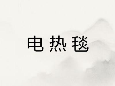 电热毯
