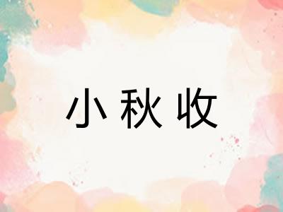 小秋收
