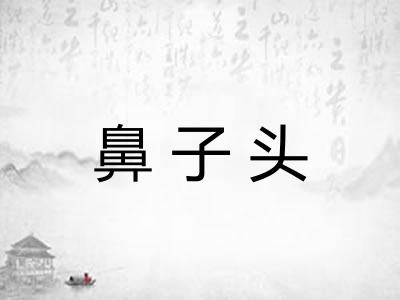 鼻子头