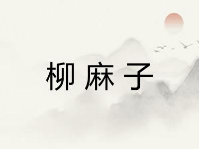 柳麻子