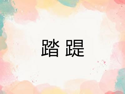 踏踶