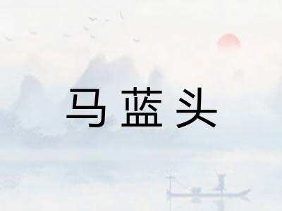 马蓝头