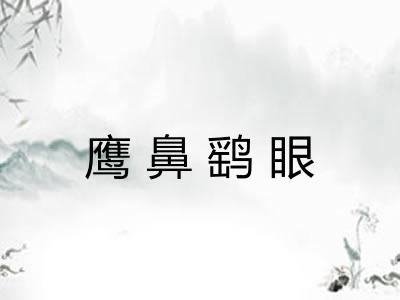 鹰鼻鹞眼