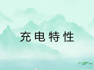充电特性