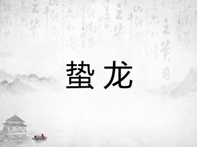 蛰龙