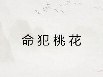 命犯桃花