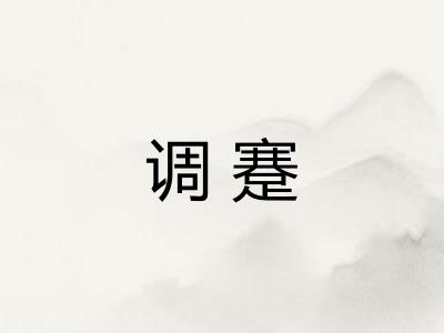 调蹇