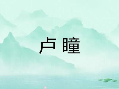 卢瞳