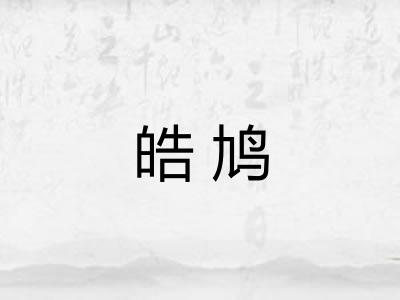 皓鸠
