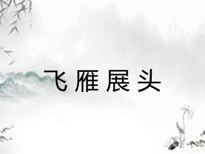 飞雁展头 飞雁展头