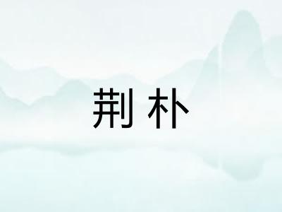 荆朴