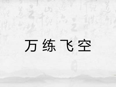 万练飞空