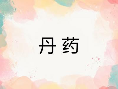 丹药
