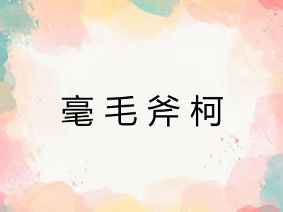 毫毛斧柯