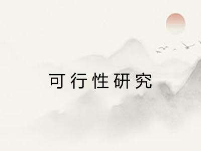 可行性研究