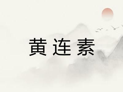 黄连素