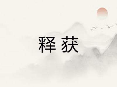 释获
