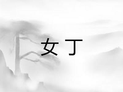 女丁