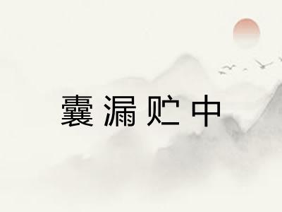 囊漏贮中