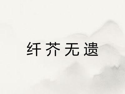 纤芥无遗