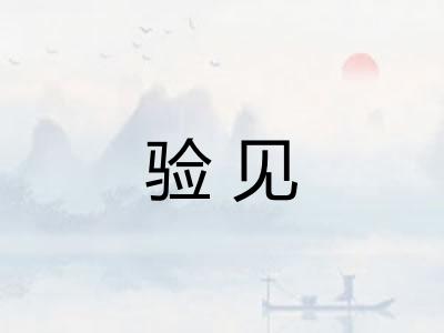 验见