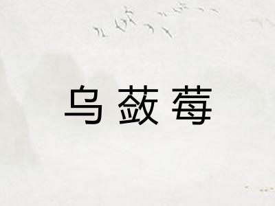 乌蔹莓