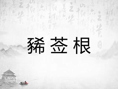 豨莶根