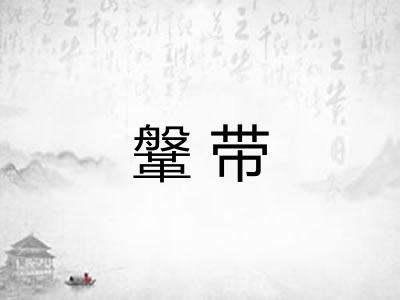 鞶带