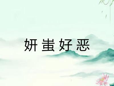 妍蚩好恶